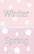 Load image into Gallery viewer, Days of the Week, Months of the Year & Seasons Flash Cards