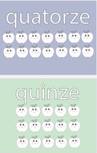 Load image into Gallery viewer, French Flash Cards Bundle