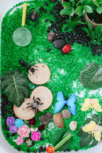 Load image into Gallery viewer, Bugs! Bugs! Bugs! Sensory Rice Kit
