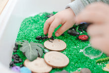 Load image into Gallery viewer, Bugs! Bugs! Bugs! Sensory Rice Kit
