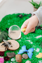 Load image into Gallery viewer, Bugs! Bugs! Bugs! Sensory Rice Kit
