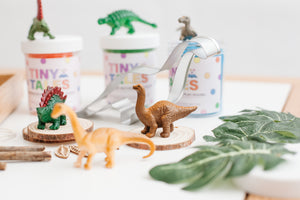 Dinosaur Sensory Play Dough Kit