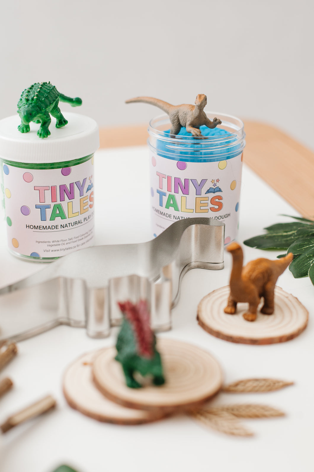 Dinosaur Sensory Play Dough Kit