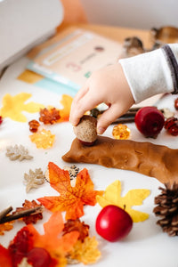 Fall Sensory Play Dough Kit