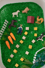 Load image into Gallery viewer, Farm Animals Sensory Rice Kit
