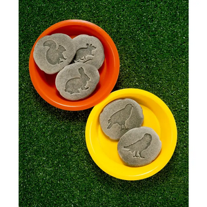 Woodland Footprints Stones