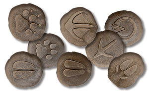 Farmyard Footprints Stones