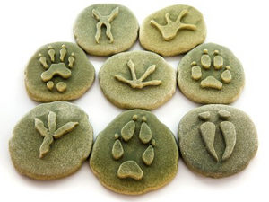Woodland Footprints Stones