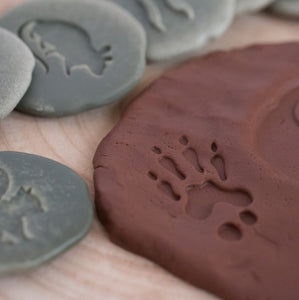 Woodland Footprints Stones