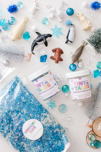 Deluxe Arctic Sensory Kit