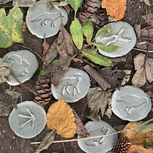 Woodland Footprints Stones
