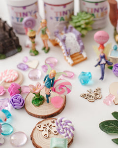 Candy Land Fairy Garden Play Dough Kit