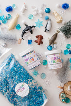Load image into Gallery viewer, Deluxe Arctic Sensory Kit
