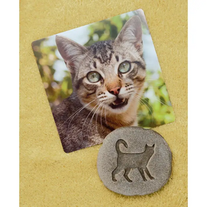 Farmyard Footprints Stones