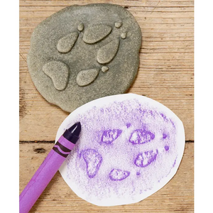 Woodland Footprints Stones