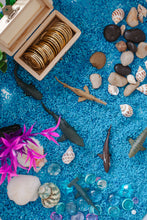 Load image into Gallery viewer, Sharks Sensory Rice Kit
