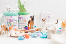 Load image into Gallery viewer, Pets Play Dough Kit
