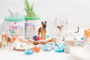 Pets Play Dough Kit