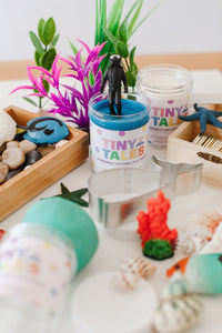Under the Sea Play Dough Kit