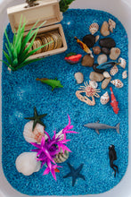 Load image into Gallery viewer, Under the Sea Sensory Rice Kit
